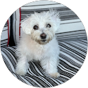 Sandra Ham Sandra Ham